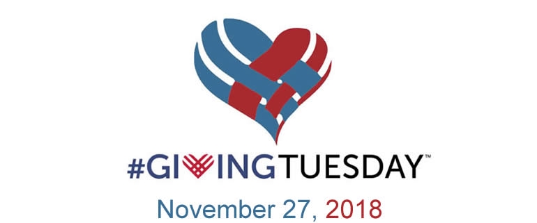 https://dotorgwebworks.org/wp-content/uploads/2018/05/giving_tuesday-2018-770x321.jpg